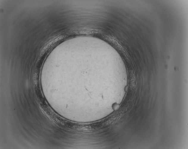 X0000083970683200703161532