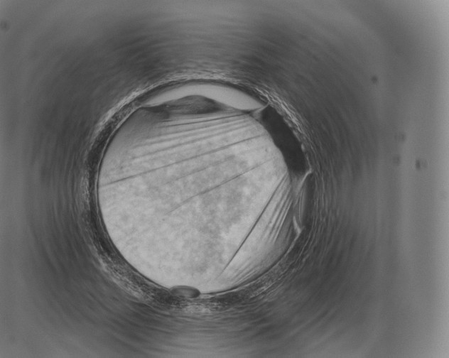 X0000083970684200703161532