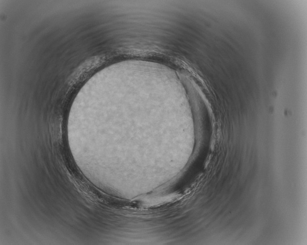 X0000083970685200703161532