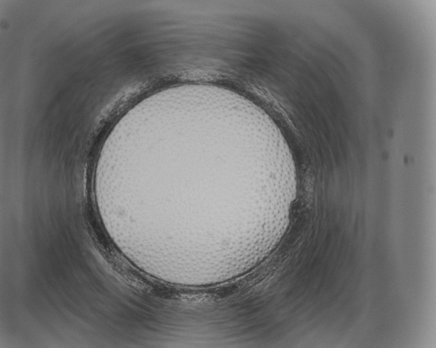 X0000083970686200703161532