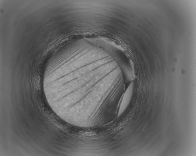 X0000083970689200703161532