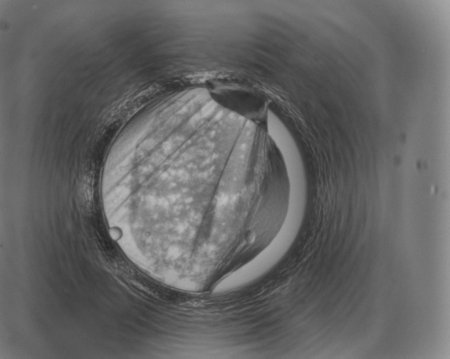 X0000083970691200703161532