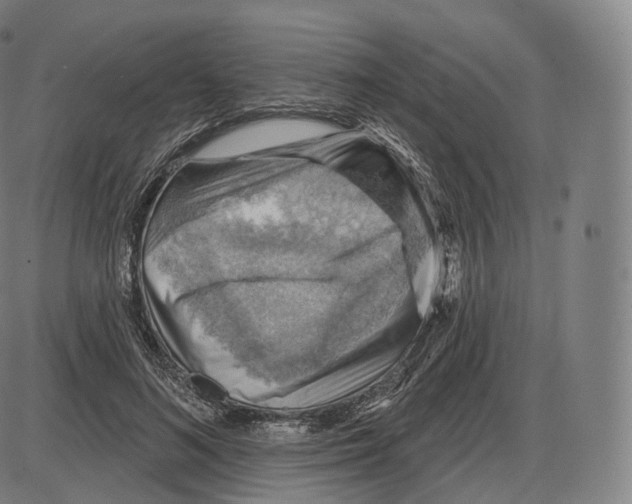 X0000083970692200703161532