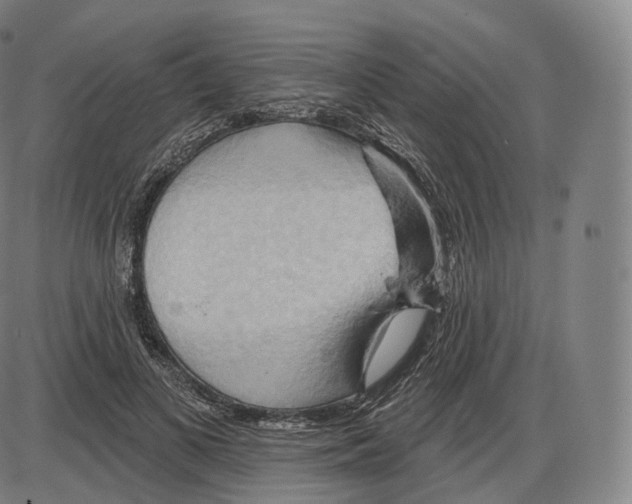 X0000083970693200703161532