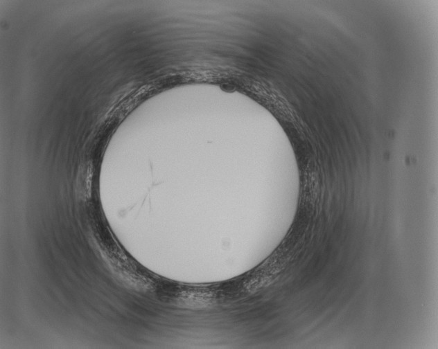 X0000083970694200703161531