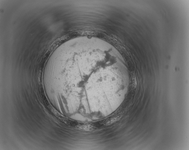 X0000083970695200703161531