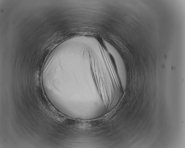 X0000083970696200703161531