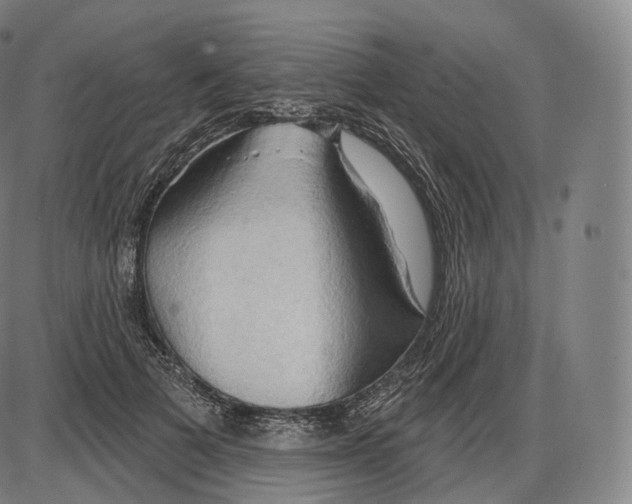 X0000083970697200703161531