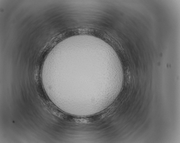 X0000083970698200703161531