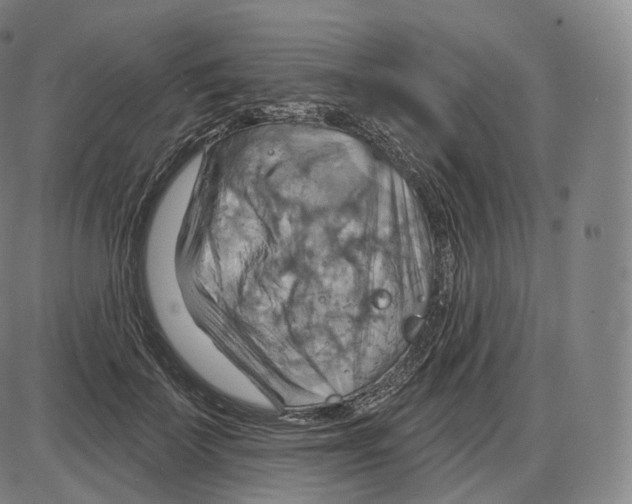 X0000083970699200703161531