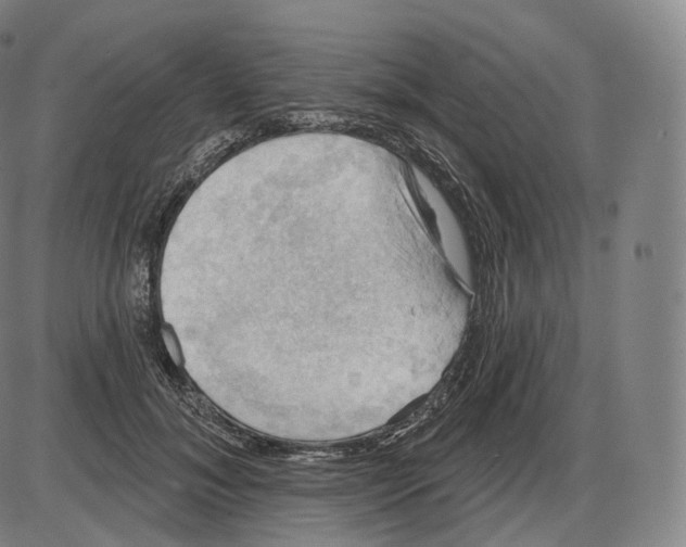 X0000083970700200703161531