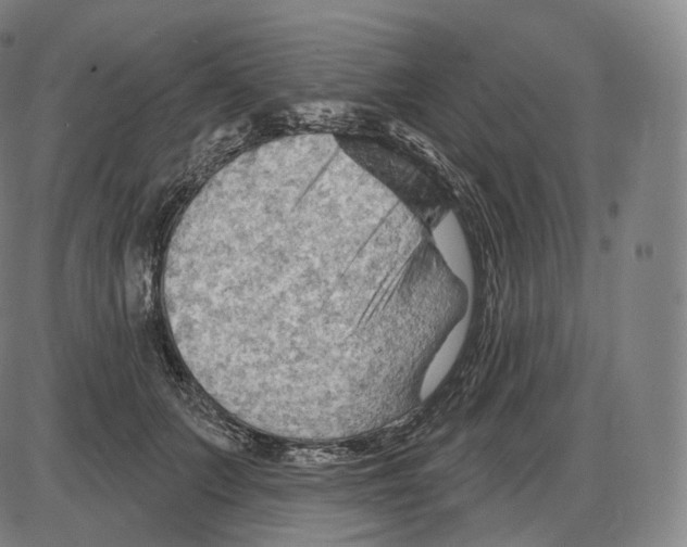 X0000083970703200703161531