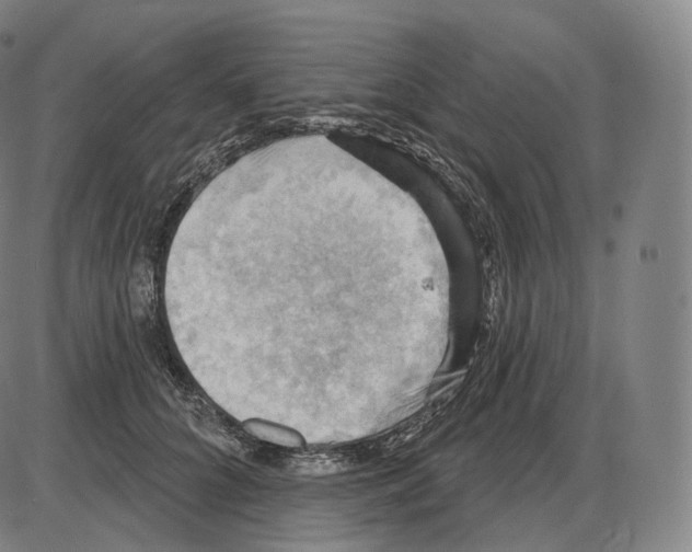 X0000083970704200703161531