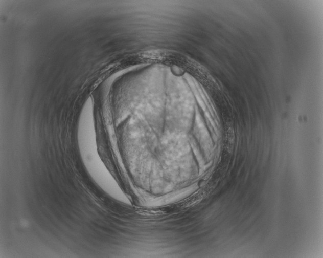 X0000083970707200703161531