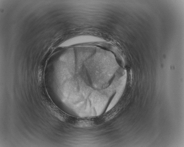 X0000083970708200703161531