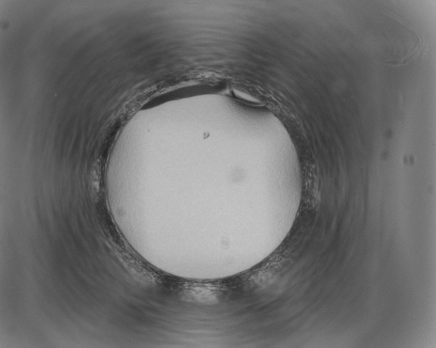 X0000083970710200703161531