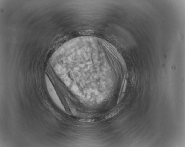 X0000083970711200703161531