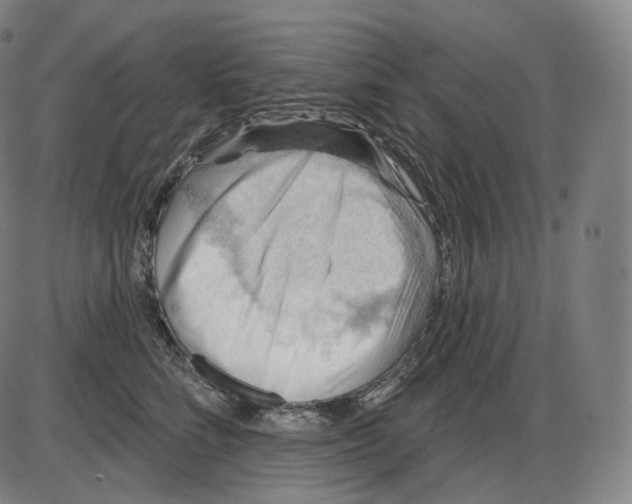 X0000083970712200703161531