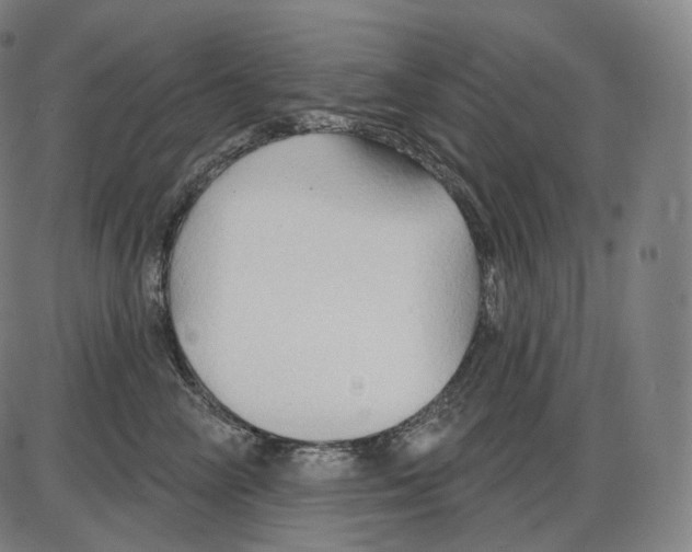 X0000083970714200703161531