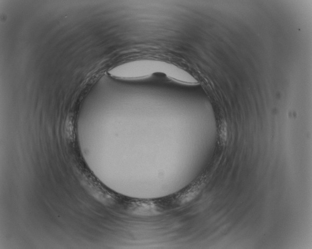 X0000083970715200703161531