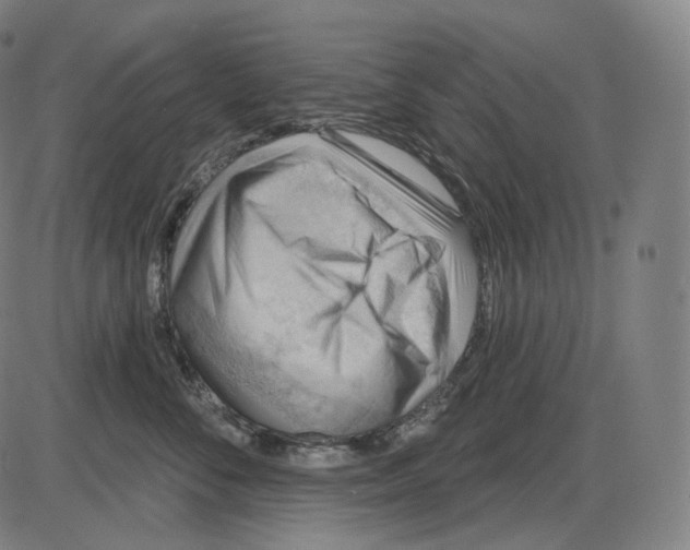 X0000083970716200703161531