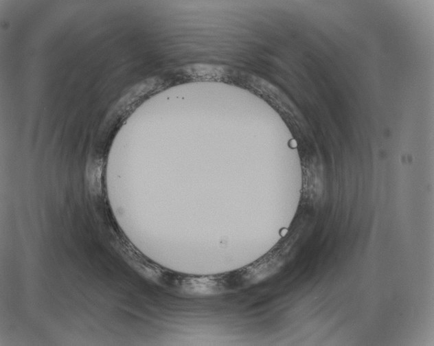 X0000083970717200703161531