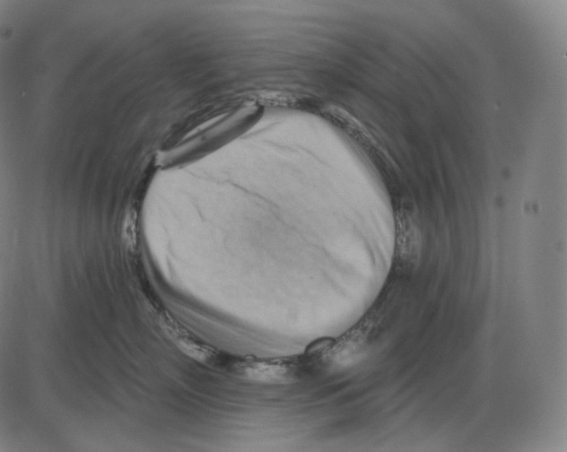 X0000083970718200703161531