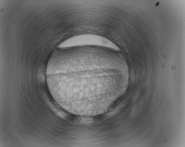 X0000083970719200703161531