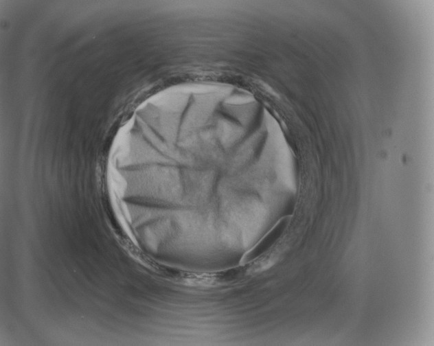 X0000083970720200703161531