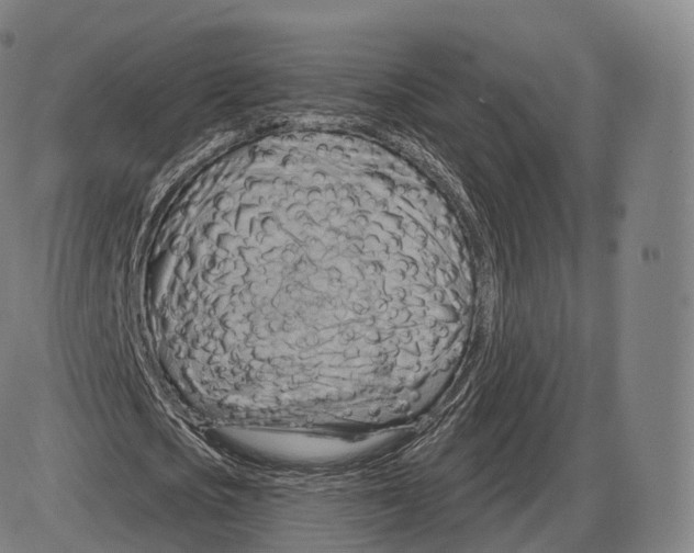 X0000083970721200703161530