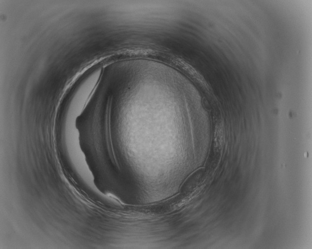 X0000083970722200703161530