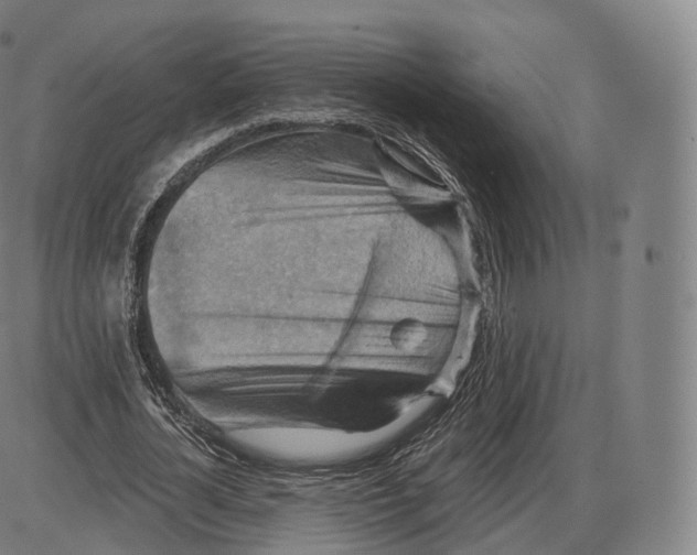 X0000083970724200703161530