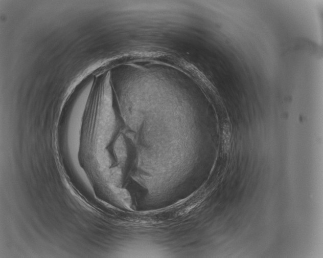 X0000083970726200703161530