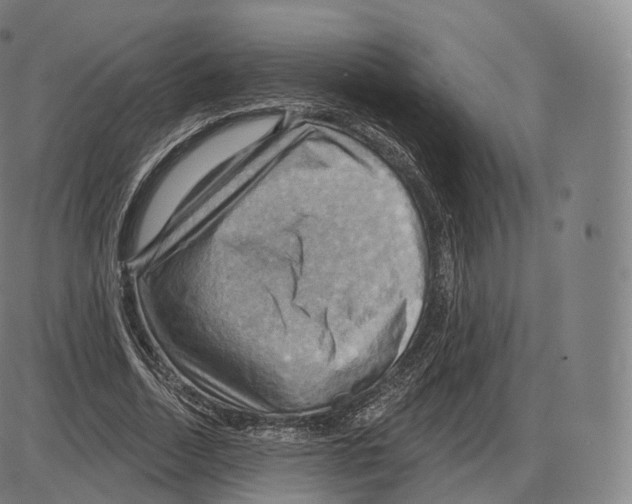 X0000083970730200703161530