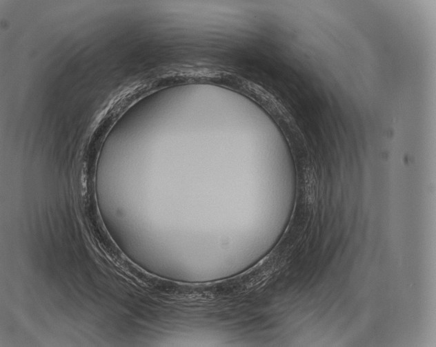 X0000083970731200703161530