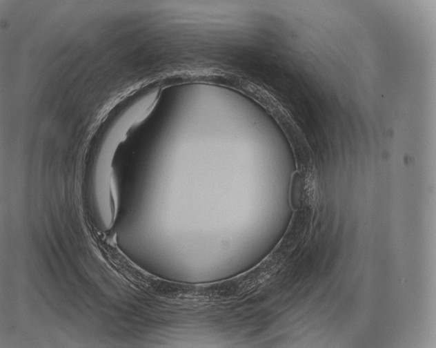 X0000083970732200703161530