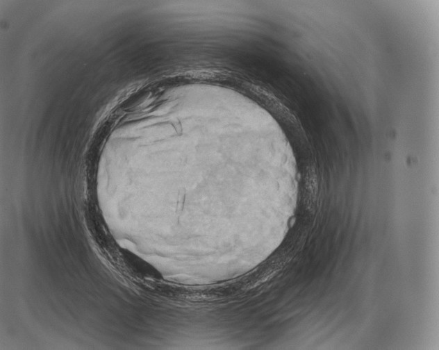 X0000083970734200703161530