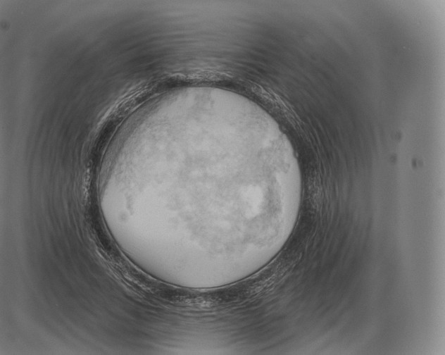 X0000083970735200703161530