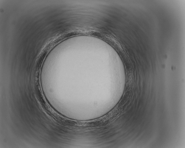 X0000083970736200703161531