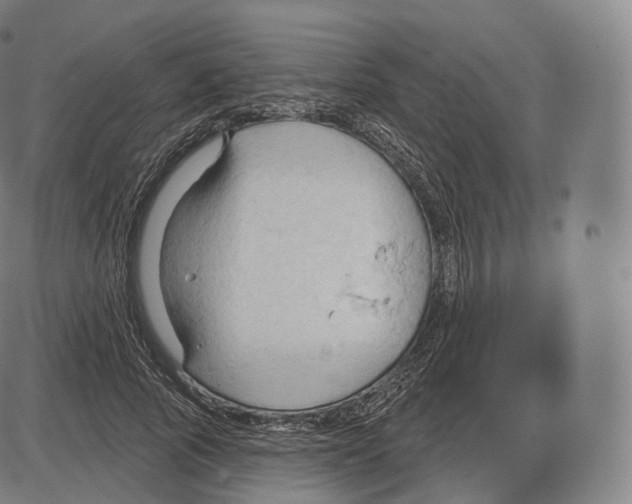 X0000083970737200703161531