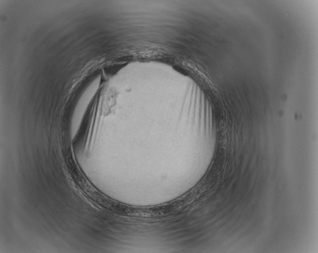 X0000083970738200703161531