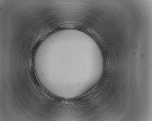 X0000083970739200703161531