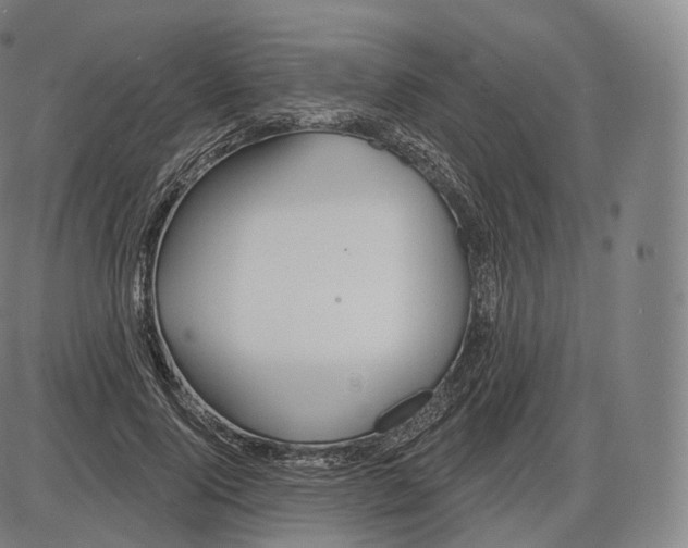 X0000083970740200703161531