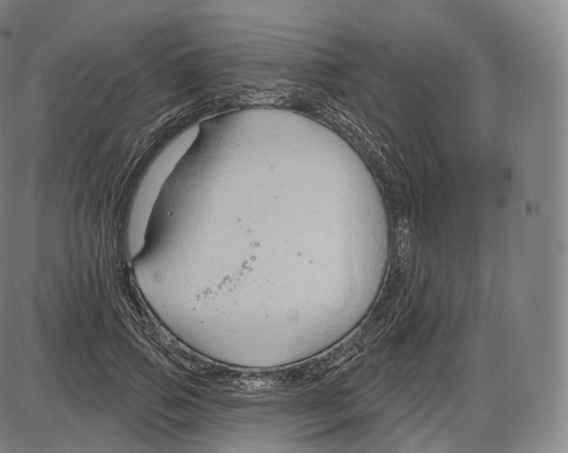 X0000083970741200703161531