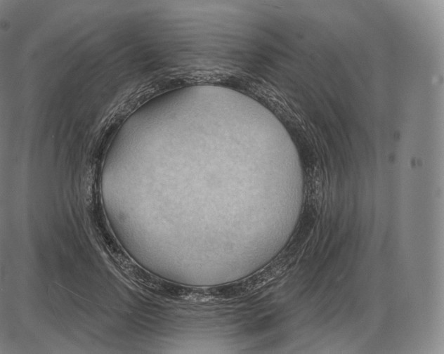 X0000083970742200703161531