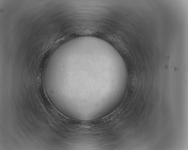 X0000083970743200703161531