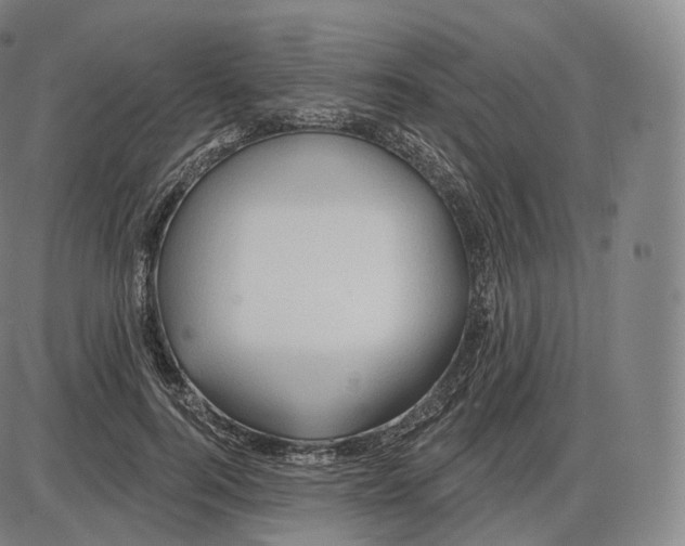 X0000083970744200703161531