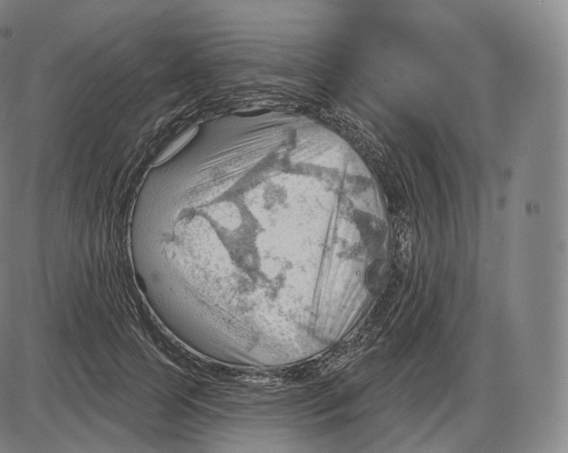 X0000083970745200703161531