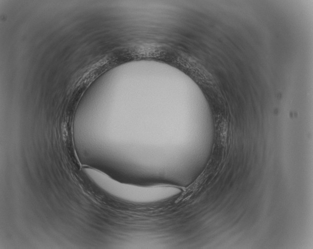 X0000083970746200703161531