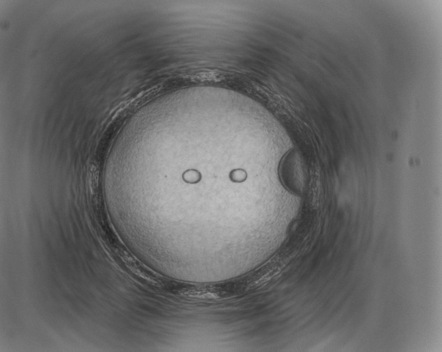 X0000083970747200703161531